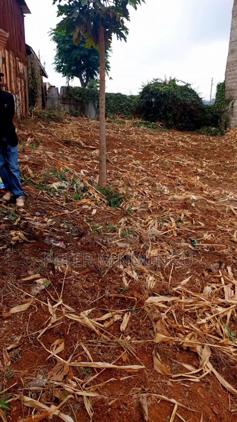 Marurui- Northern Bypass, Commercial Plot 40*80ft for Highrise in Thome