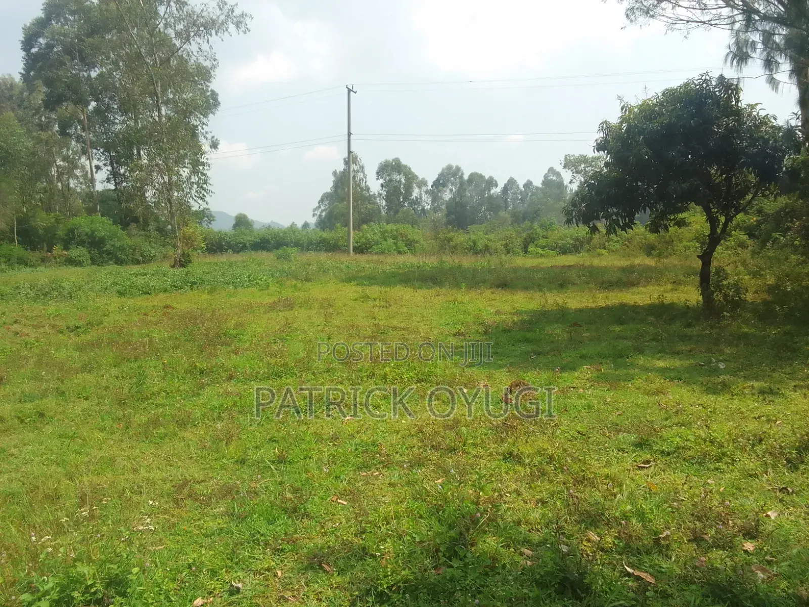 0.18h in Kisumu Karateng 100m From the Tamarc Road in Marera