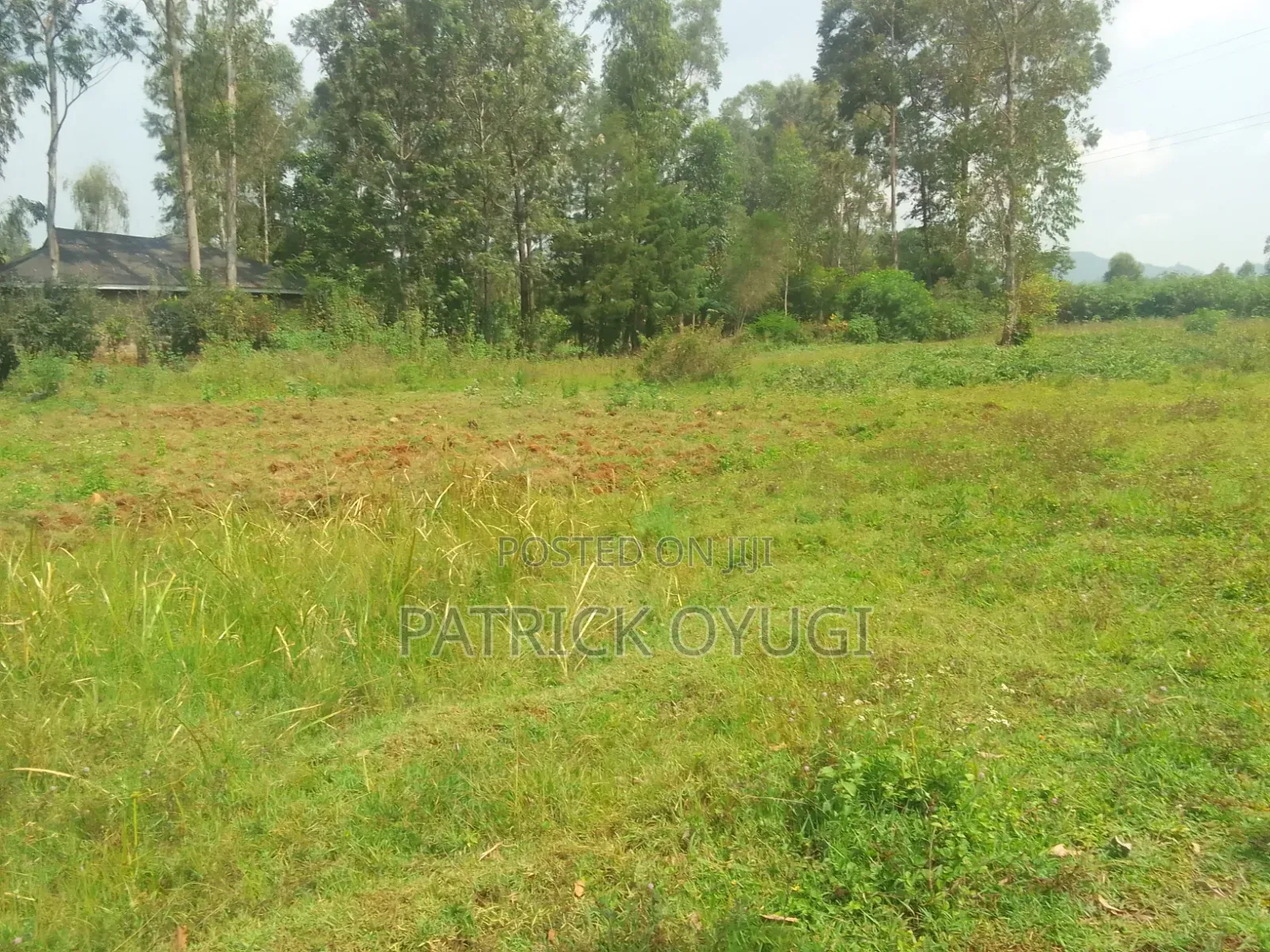0.18h in Kisumu Karateng 100m From the Tamarc Road in Marera