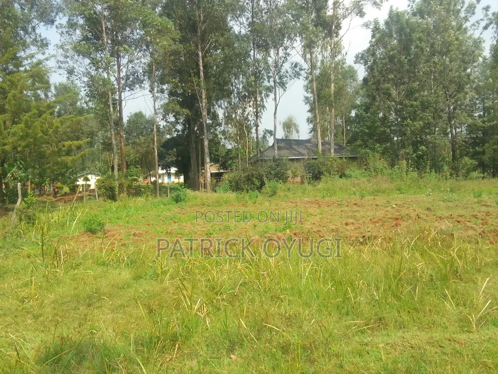 0.18h in Kisumu Karateng 100m From the Tamarc Road in Marera