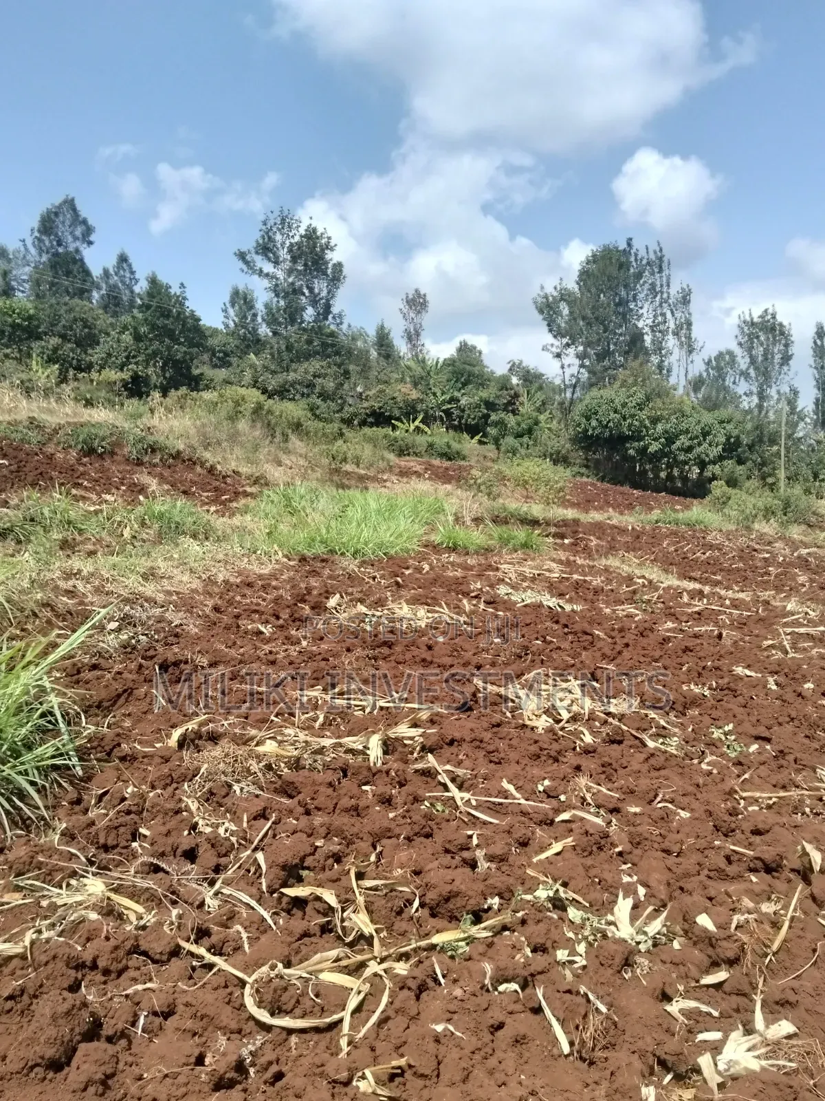 3 Acres on Sale at Murang'a -Sabasaba in Kigumo