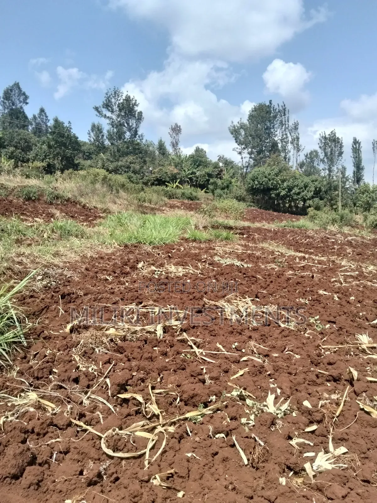 3 Acres on Sale at Murang'a -Sabasaba in Kigumo