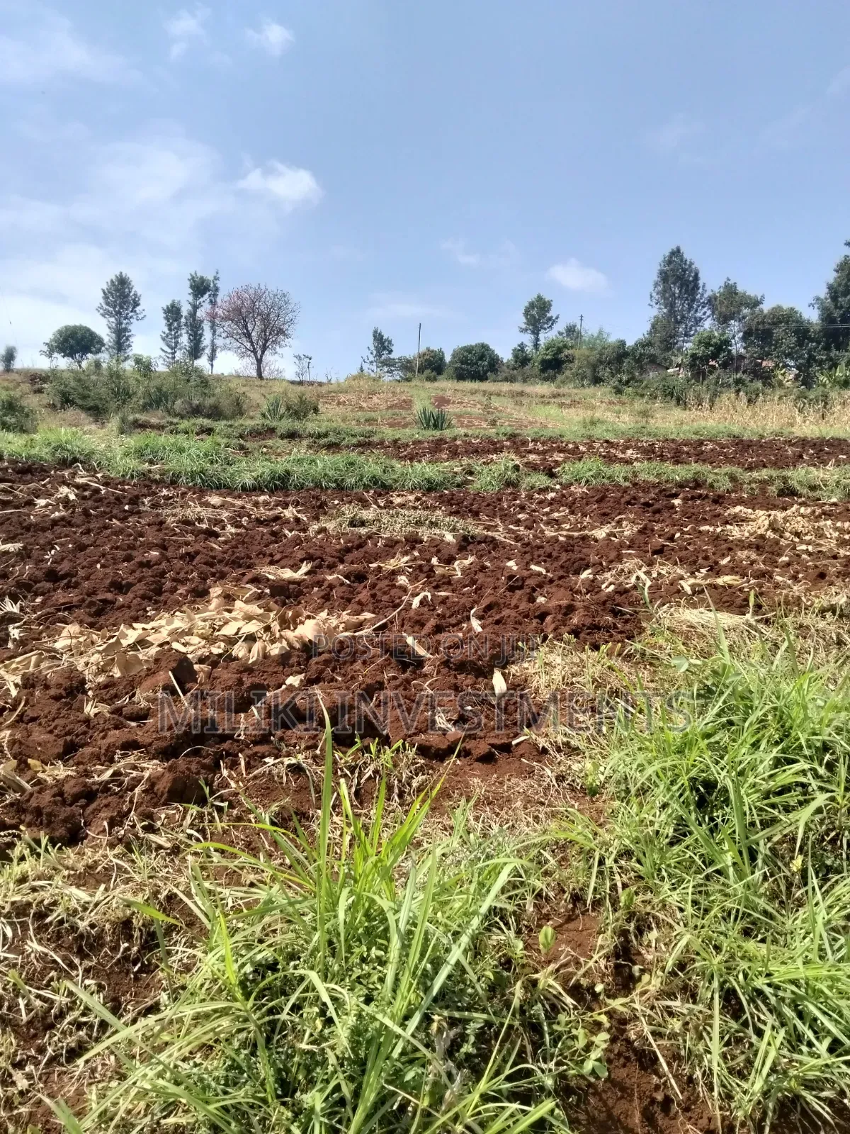 3 Acres on Sale at Murang'a -Sabasaba in Kigumo