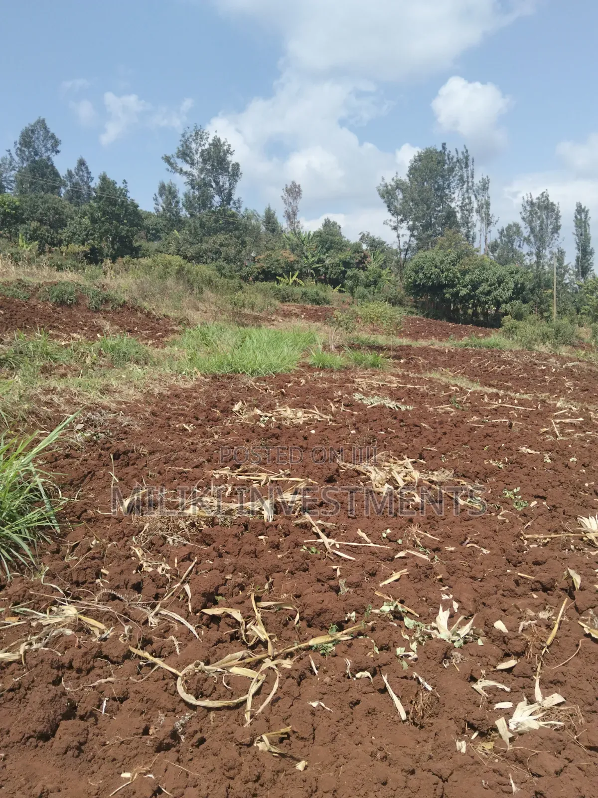 3 Acres on Sale at Murang'a -Sabasaba in Kigumo
