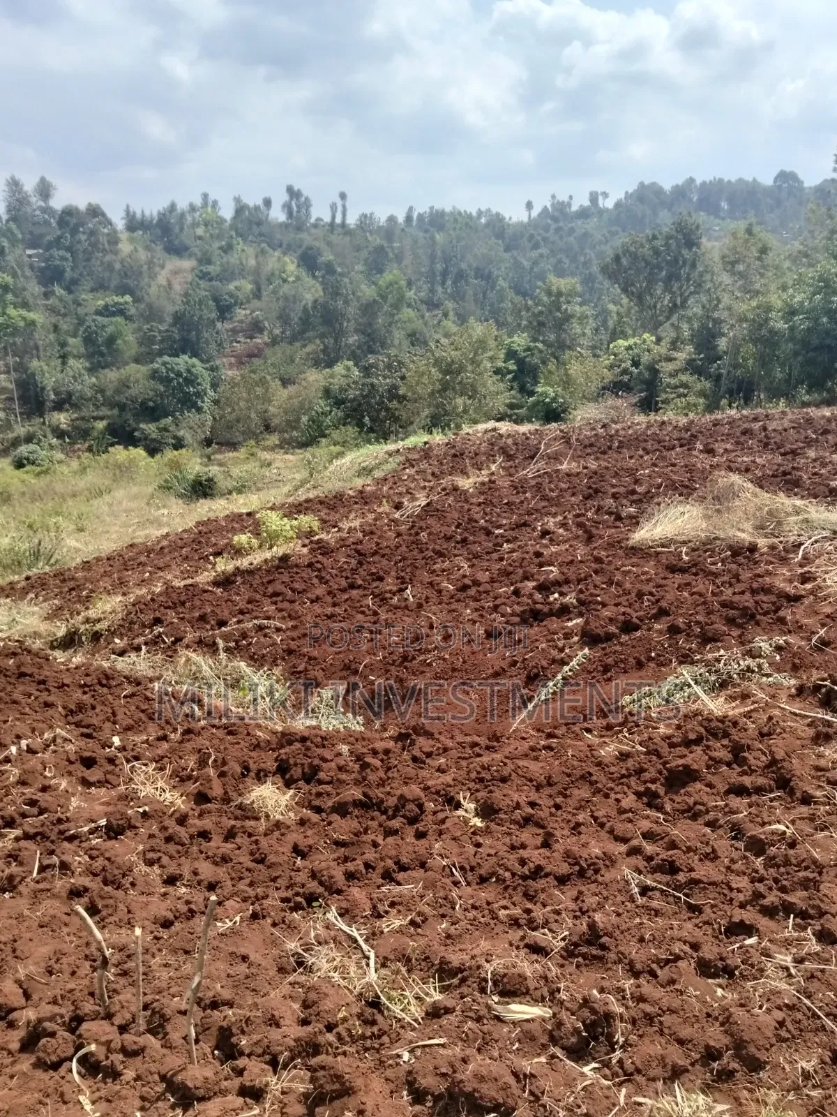 3 Acres on Sale at Murang'a -Sabasaba in Kigumo