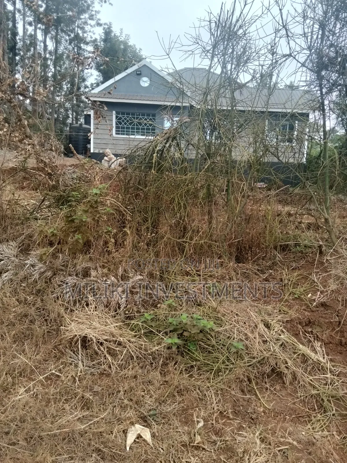 60 by 100 Ft Plot on Sale at Kenol Area-Kagaa -Kahuaini in Kimorori/Wempa