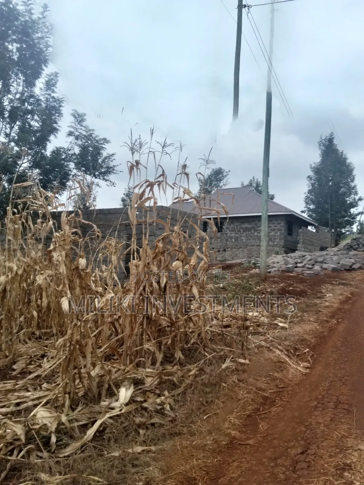 60 by 100 Ft Plot on Sale at Kenol Area-Kagaa -Kahuaini in Kimorori/Wempa