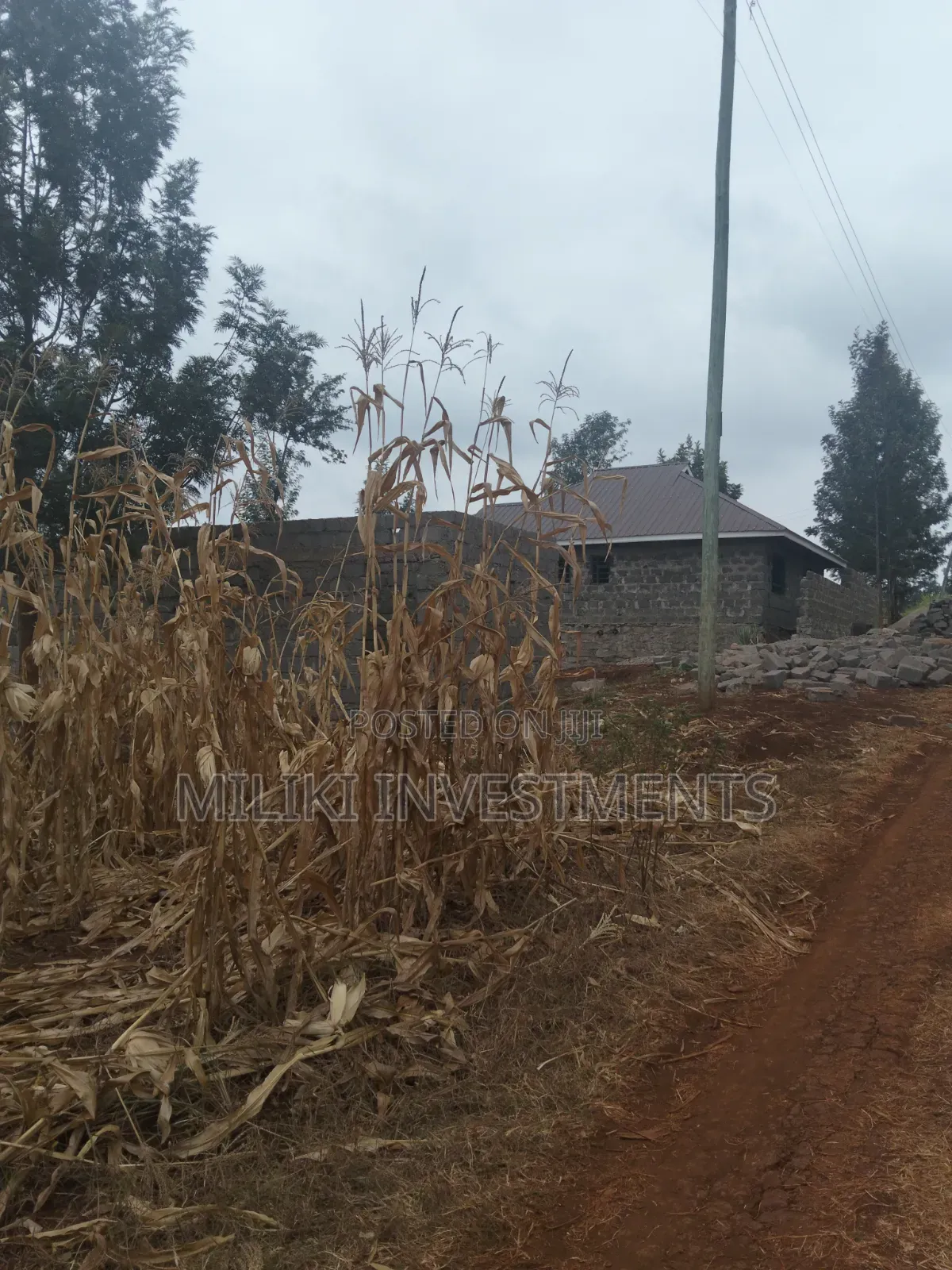 60 by 100 Ft Plot on Sale at Kenol Area-Kagaa -Kahuaini in Kimorori/Wempa