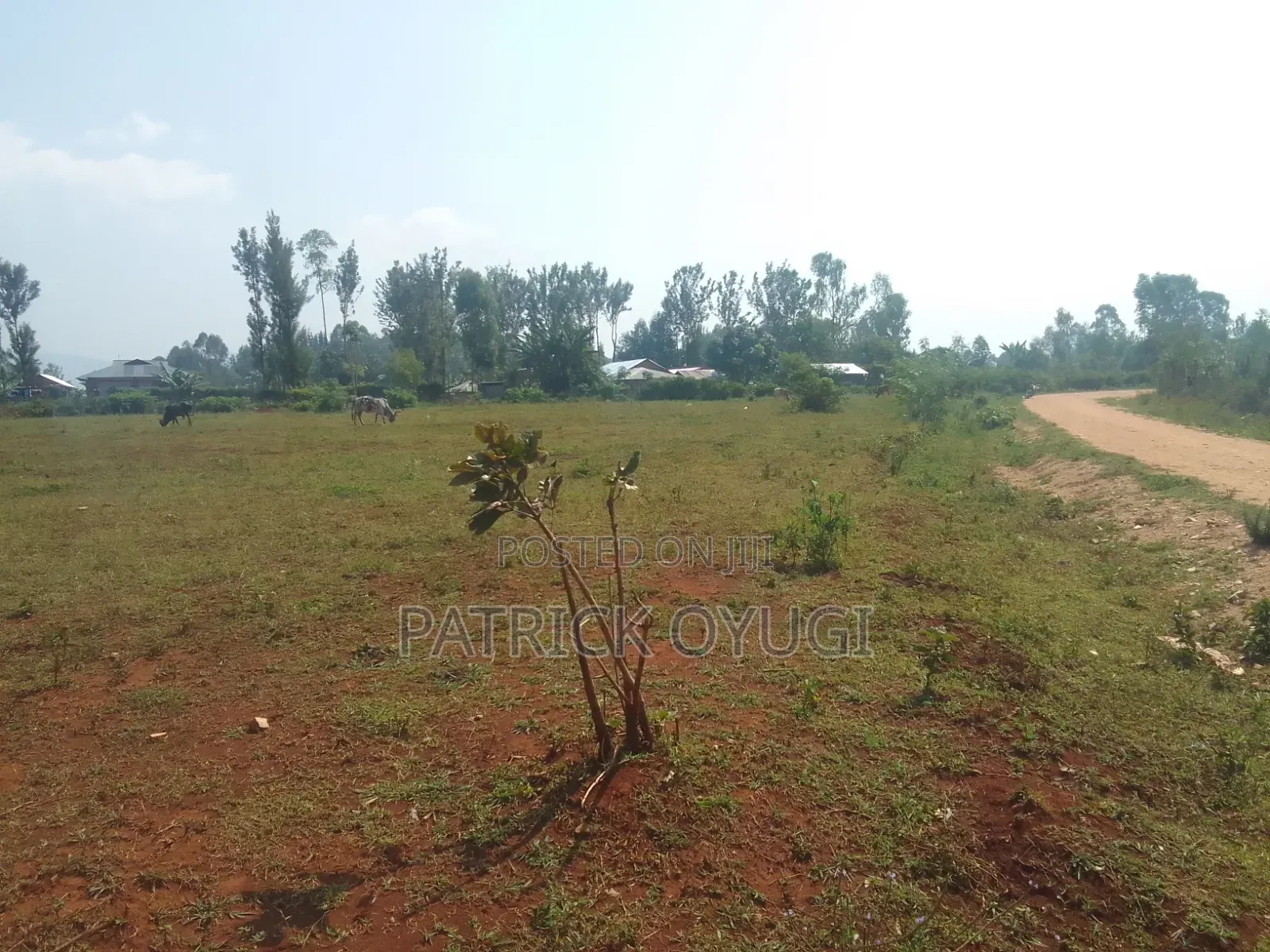 0.35ha for Sale at Kisumu Marera Area in Karateng