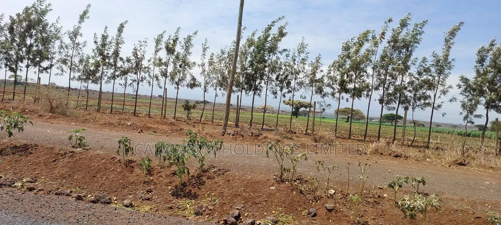 Prime Distress Deal! 58 Acres in Kimana,Oloitoktok Next to Sopa Lodge in Kimana