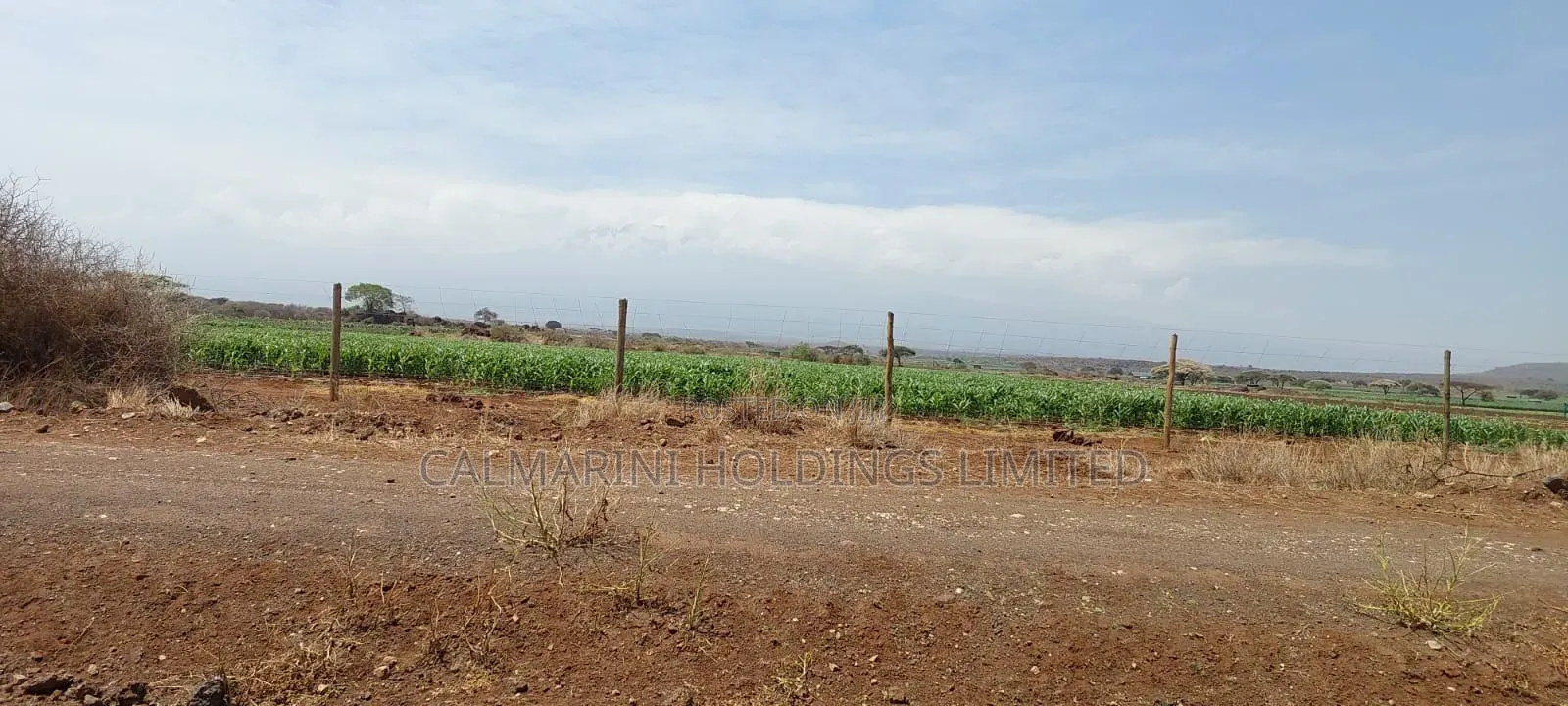 Prime Distress Deal! 58 Acres in Kimana,Oloitoktok Next to Sopa Lodge in Kimana