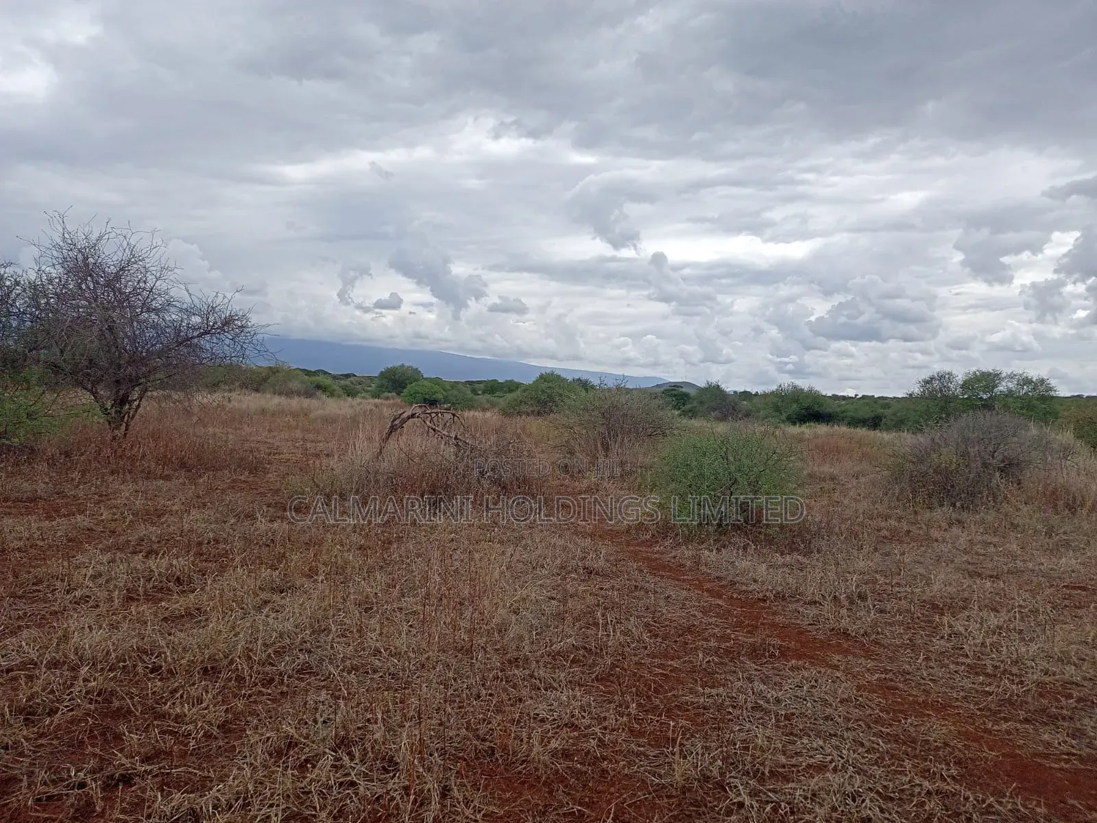 Prime Distress Deal! 58 Acres in Kimana,Oloitoktok Next to Sopa Lodge in Kimana