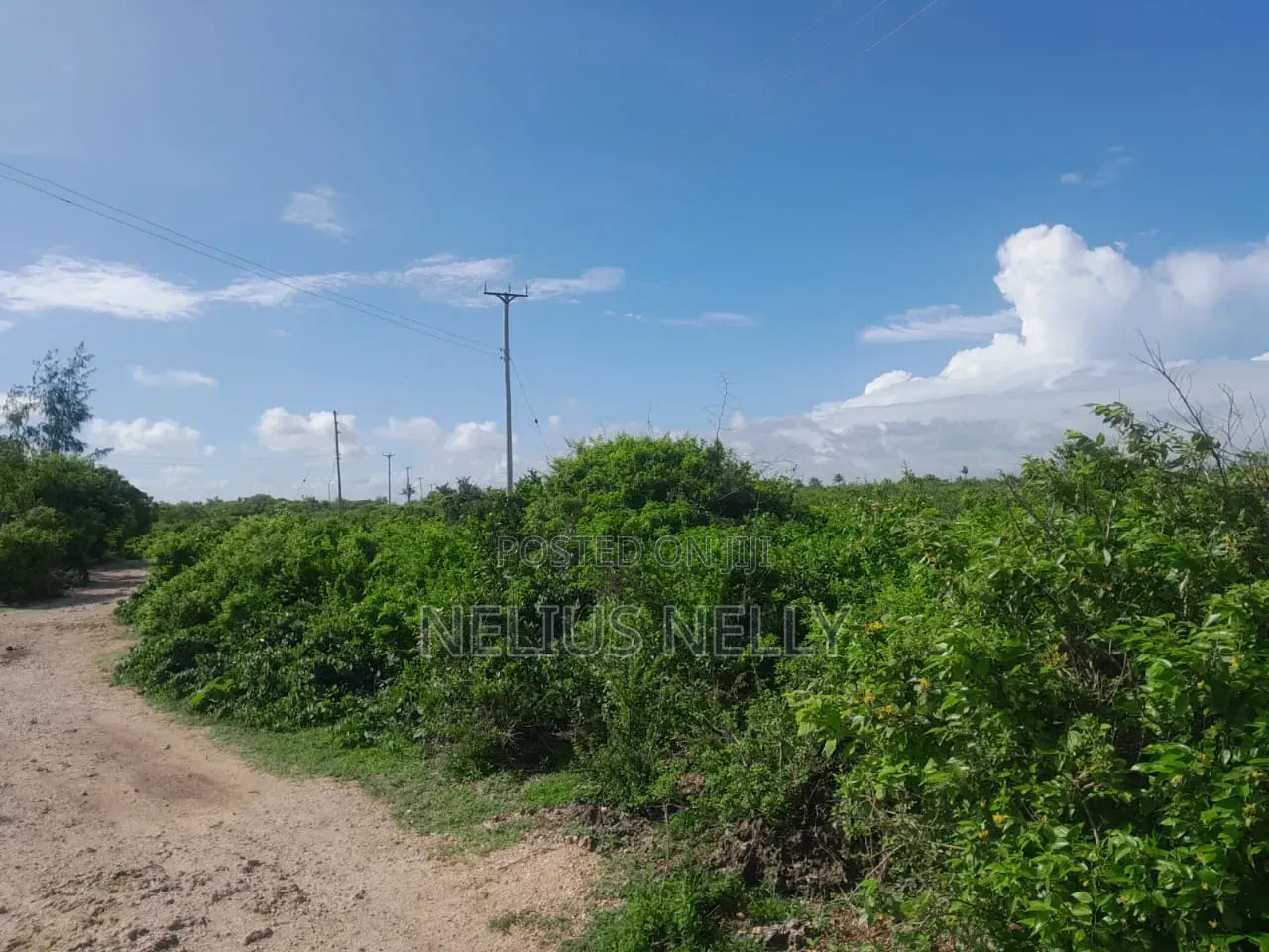 Watamu Beach Area 1/4 Acre Plots in Kilifi North
