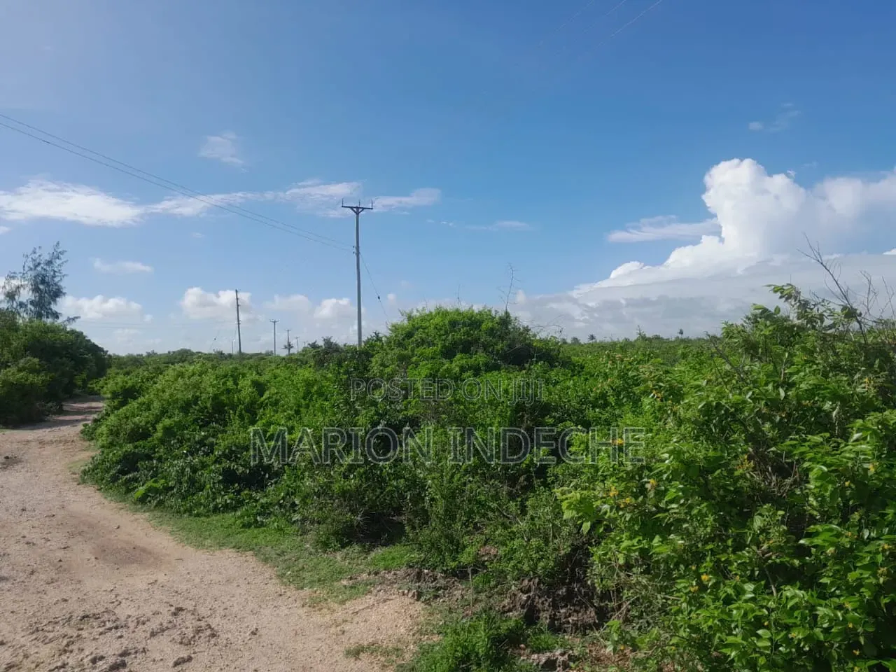 Watamu Beach Area 1/4 Acre Plots for Sale in Watamu