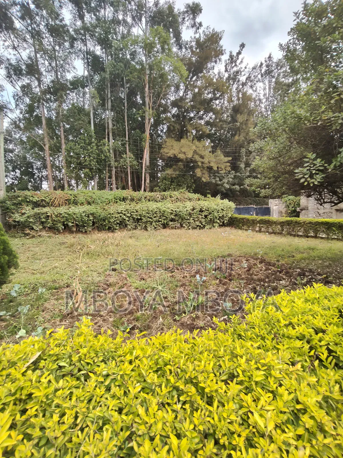Prime 0.5 Acre Land for Sale in Garden Estate in Thome