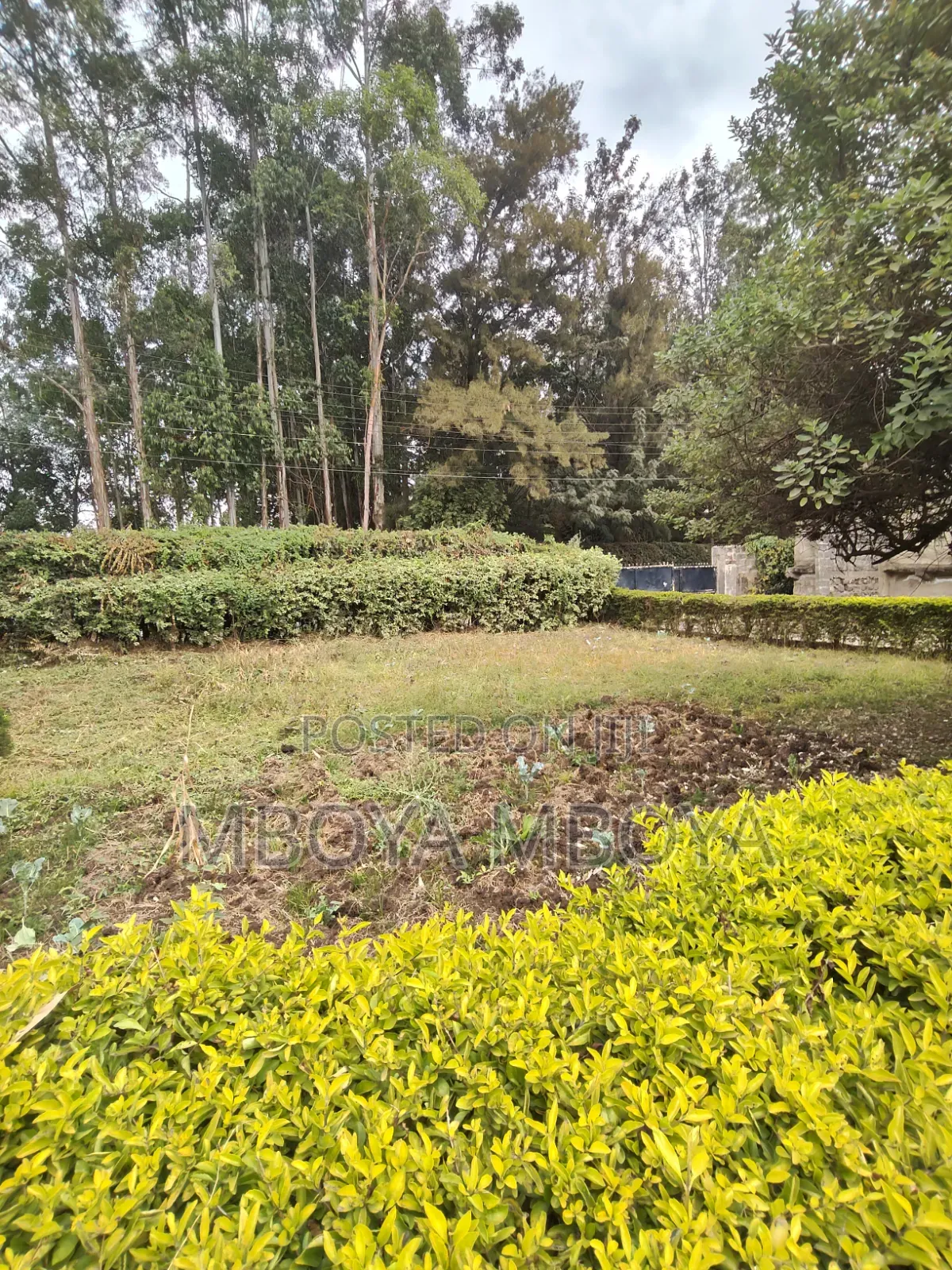 Prime 0.5 Acre Land for Sale in Garden Estate in Thome