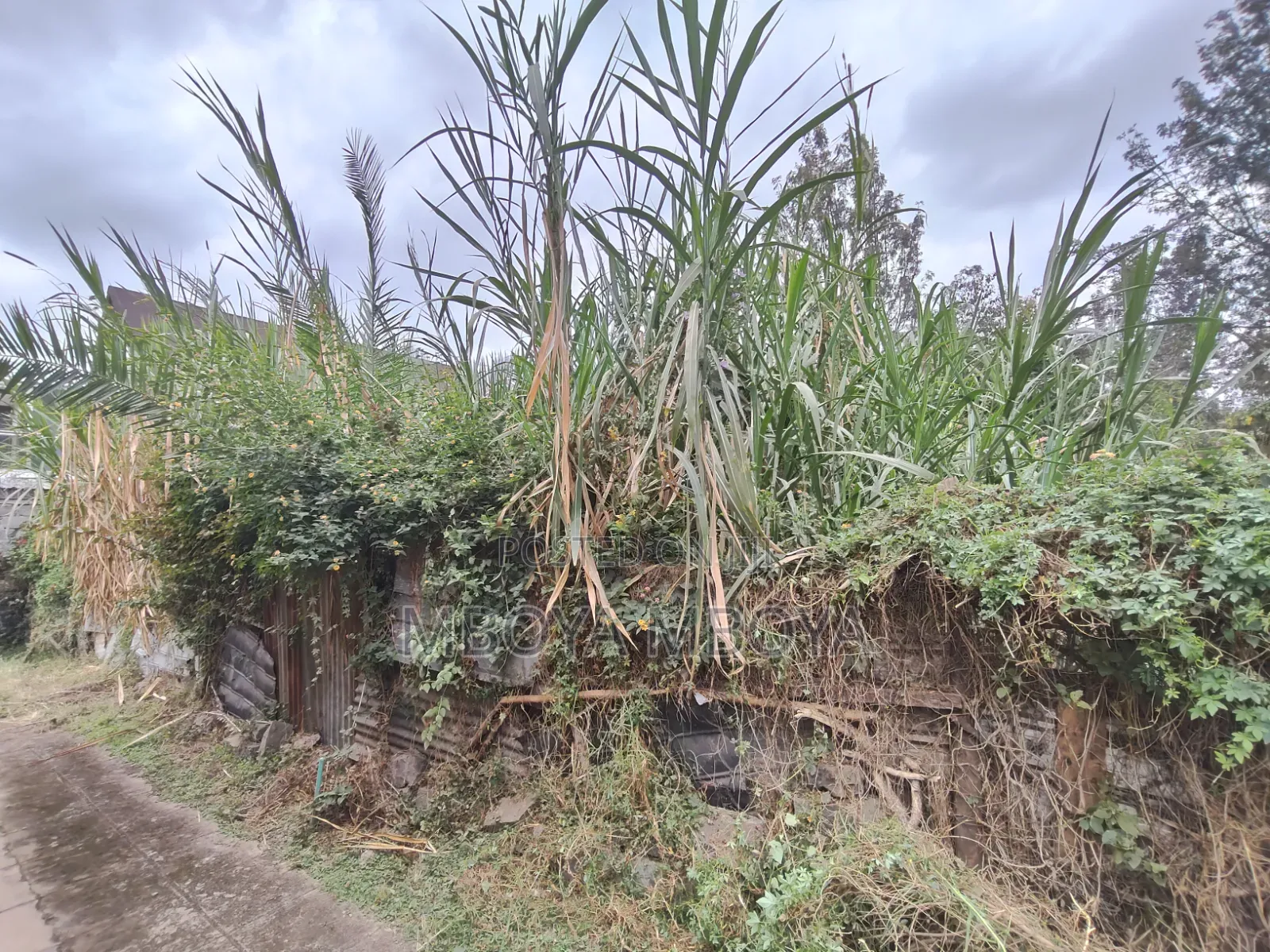 Prime 0.5 Acre Land for Sale in Garden Estate in Thome
