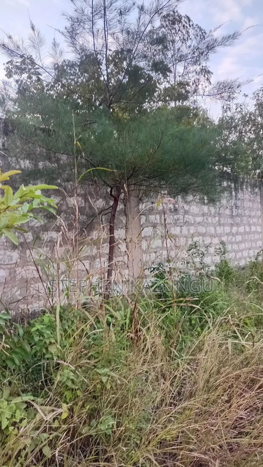 Nice 3/4 Acre Size Plot on Beach Side of Mwabungo at Mtendegwa Area. in Ukunda