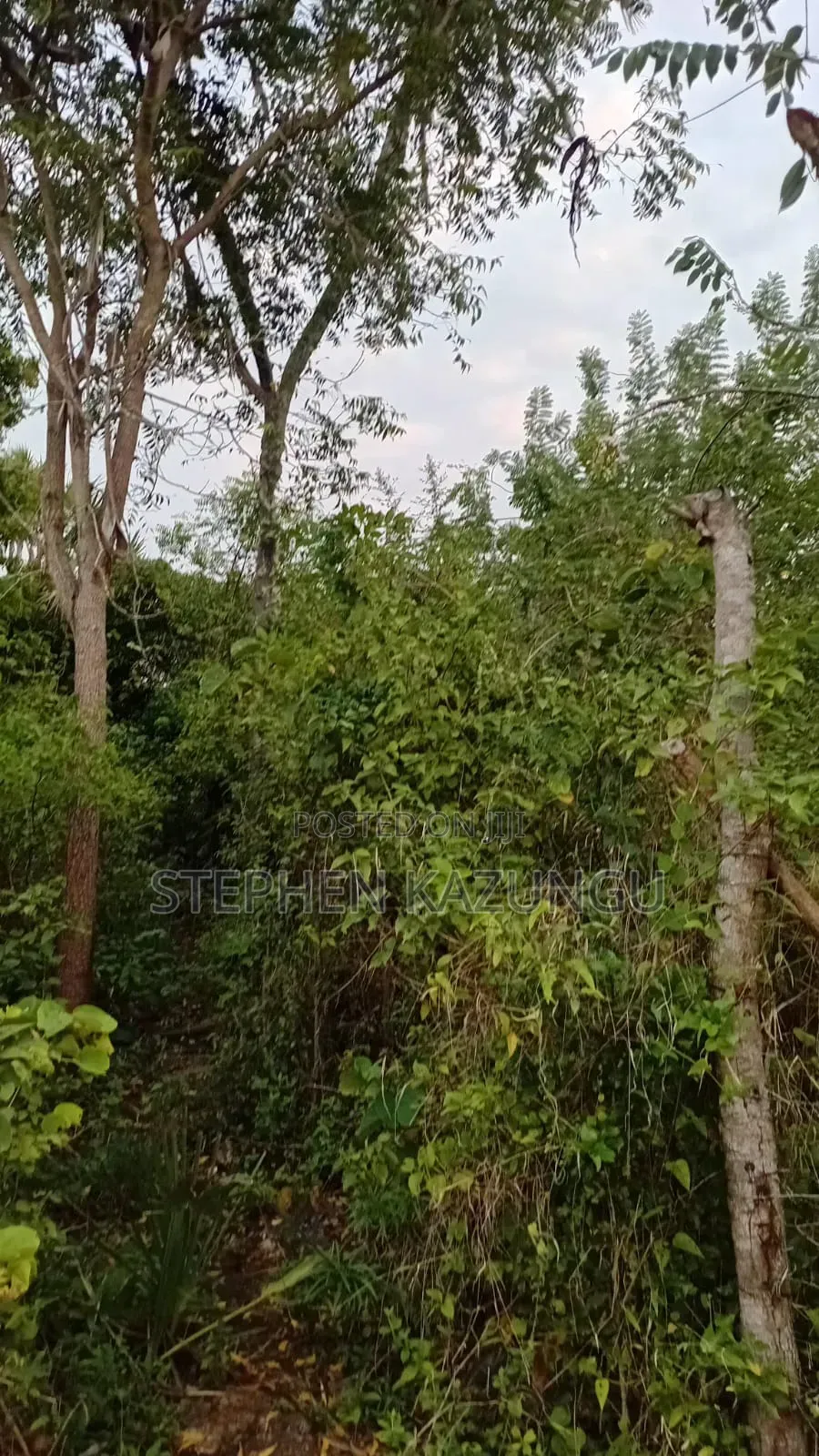 Nice 3/4 Acre Size Plot on Beach Side of Mwabungo at Mtendegwa Area. in Ukunda