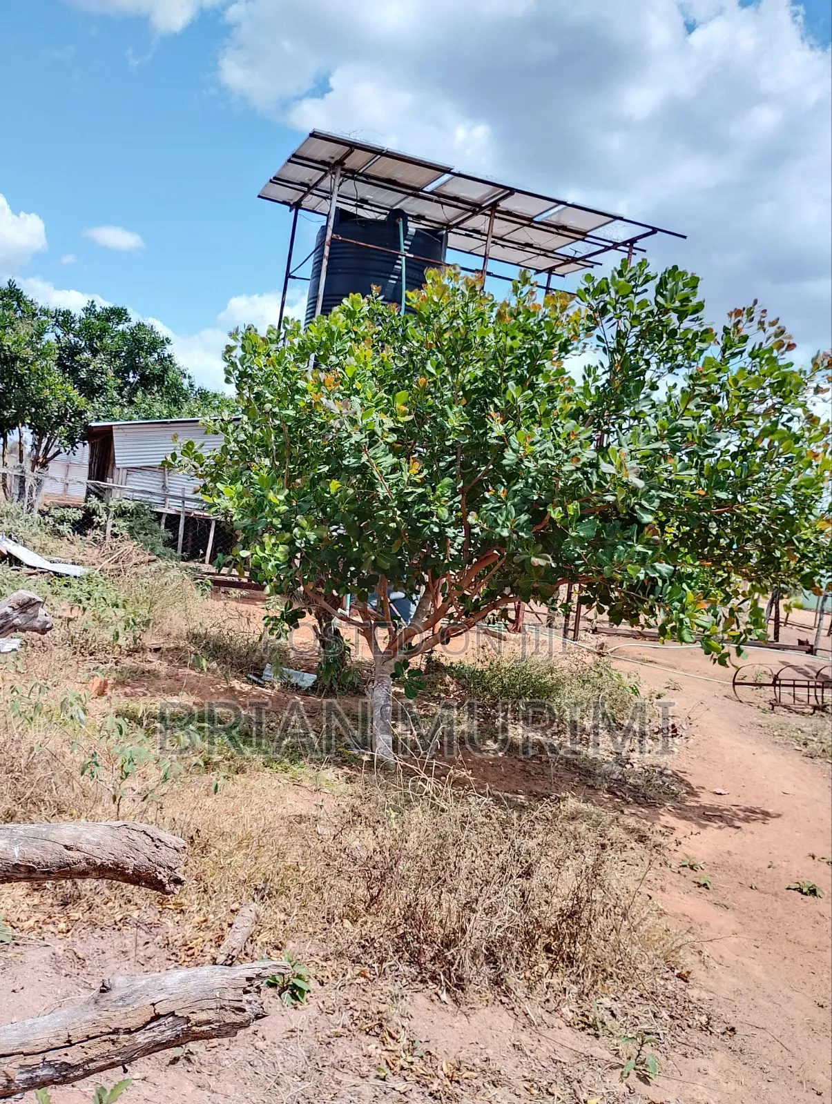 846 Acres on Sale in Garashi
