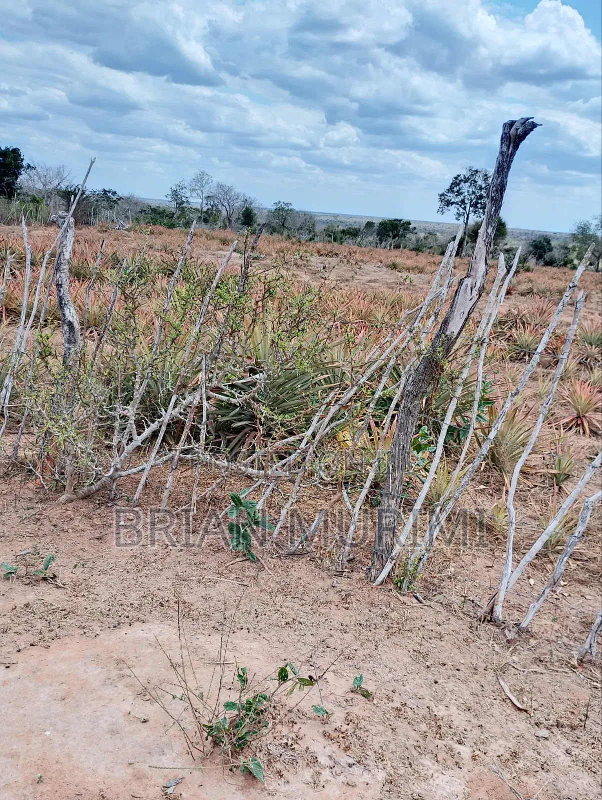 43 Acres on Sale in Garashi