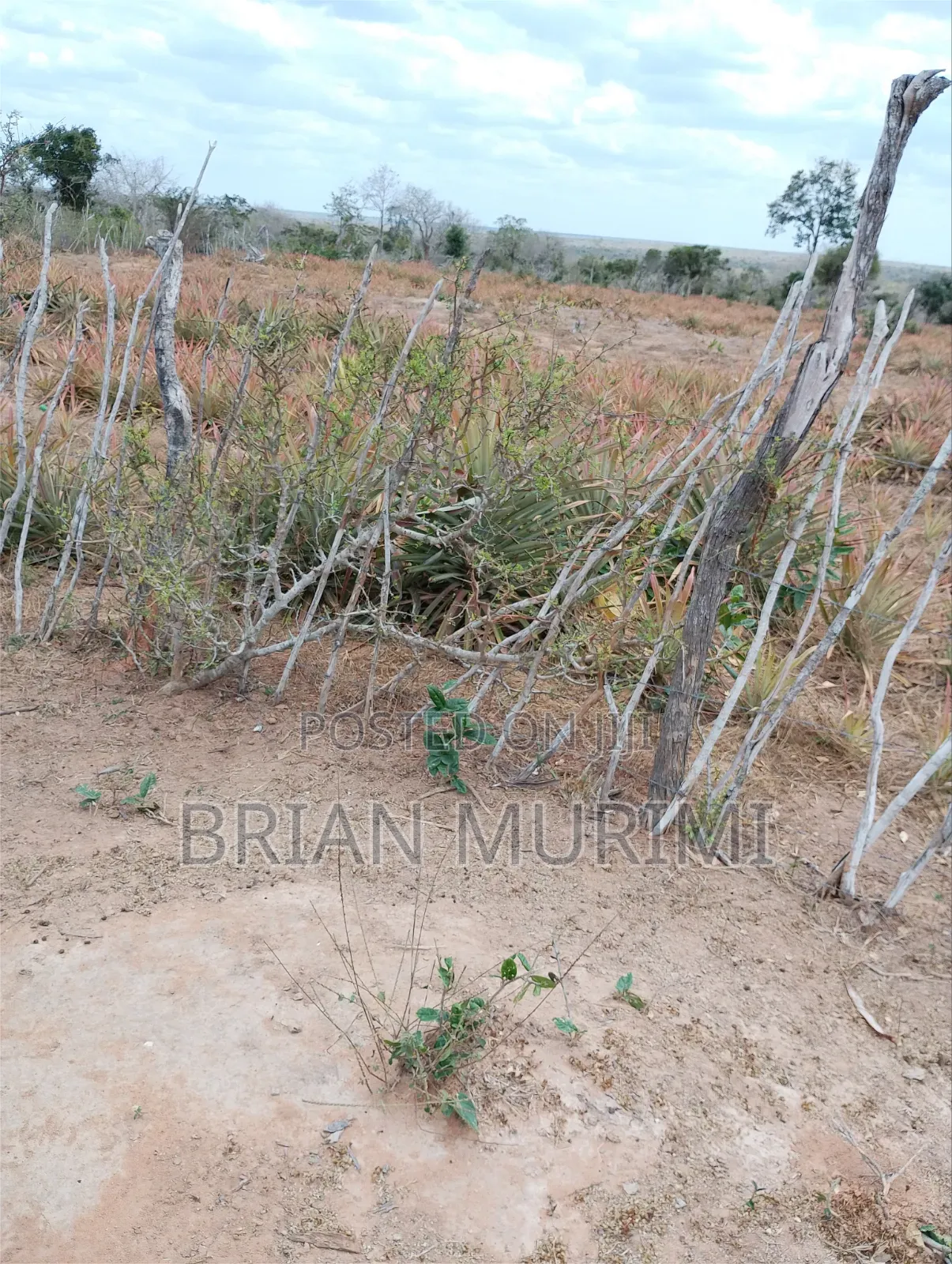 43 Acres on Sale in Garashi