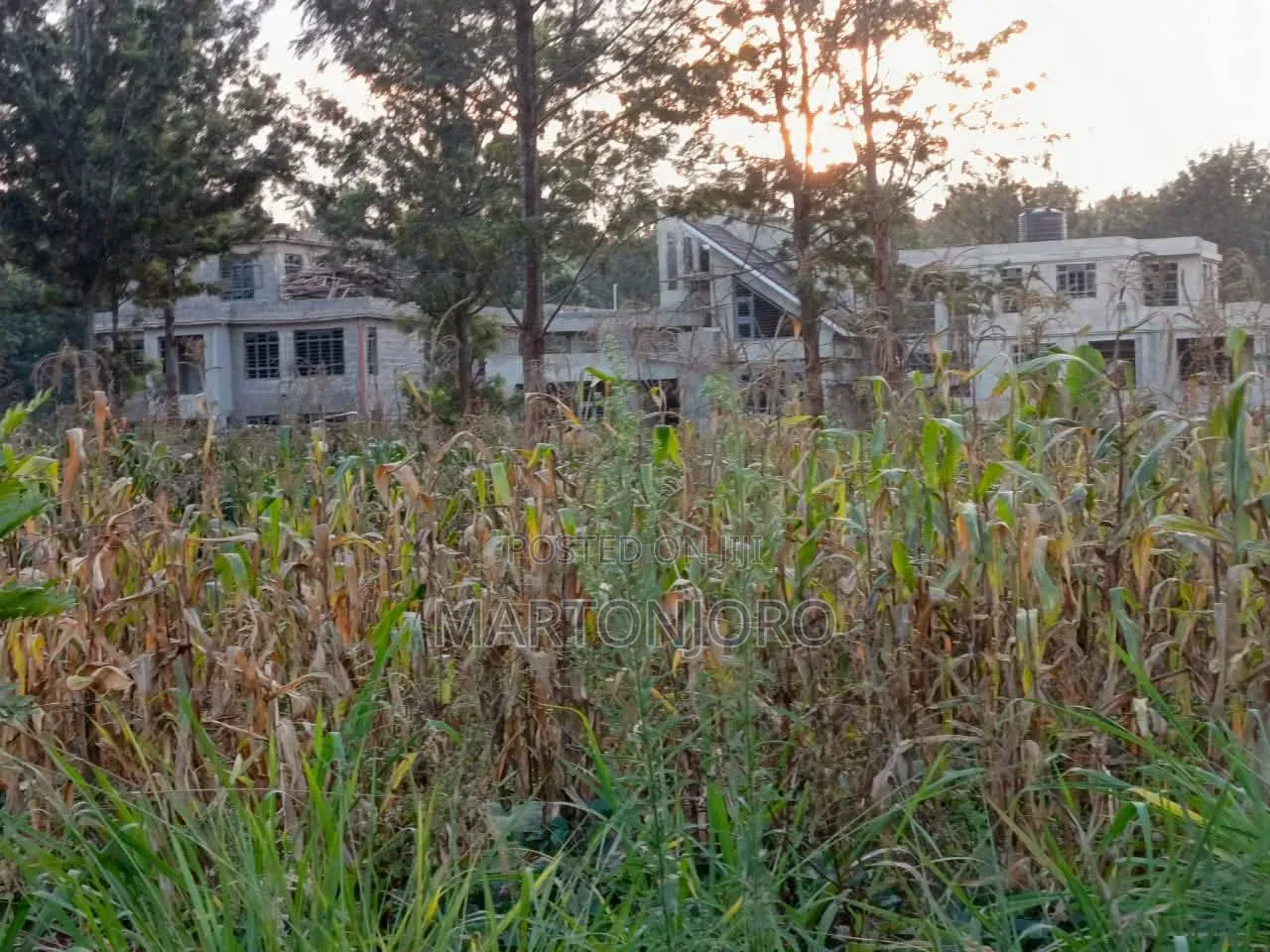 Oaklands 1/8 Acre Ruiru in Sunrise Estate