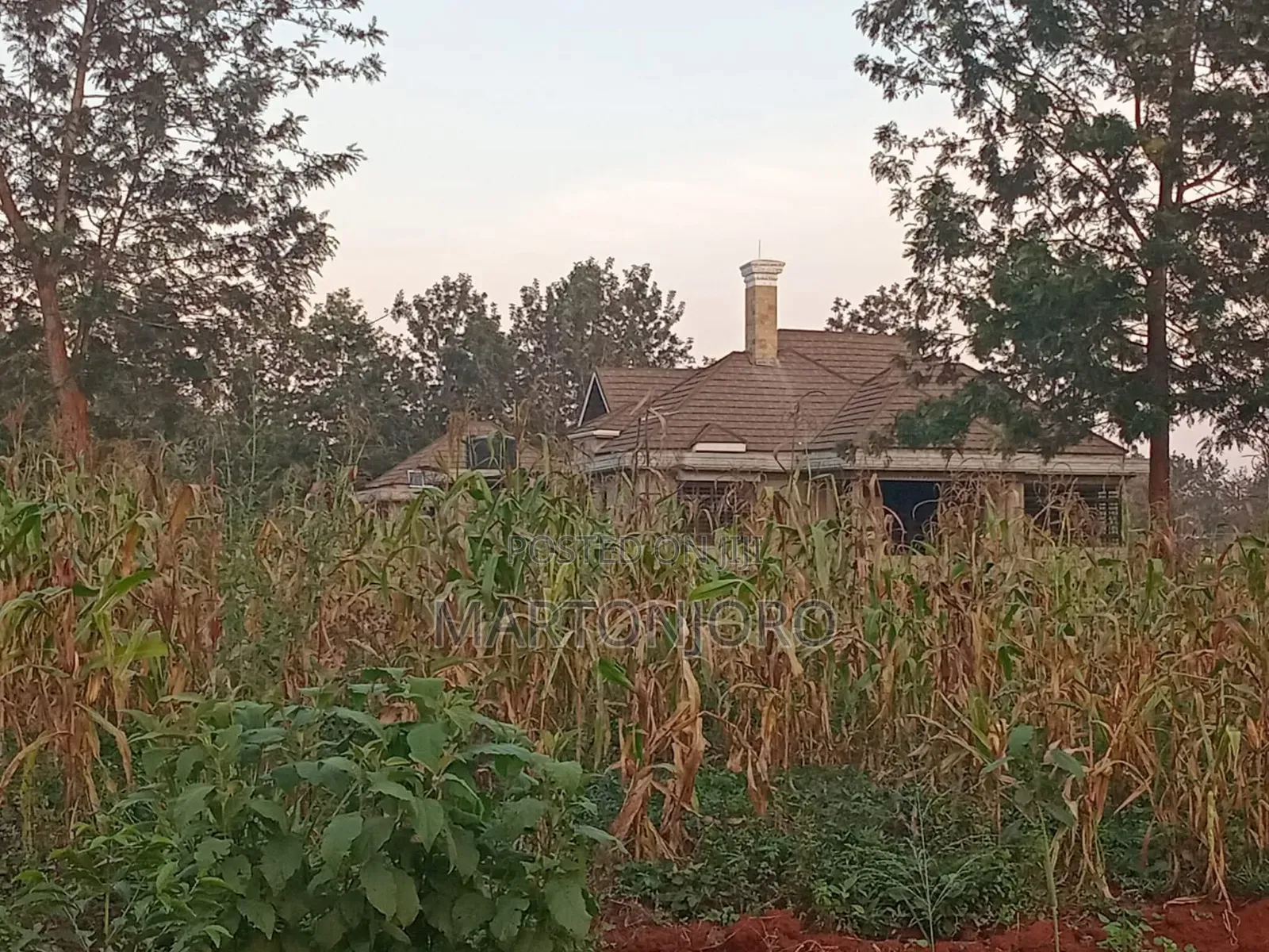 Oaklands 1/8 Acre Ruiru in Sunrise Estate