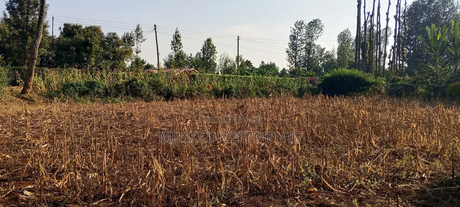 2.5 Acres Land on Sale at Kangaita in Kangai