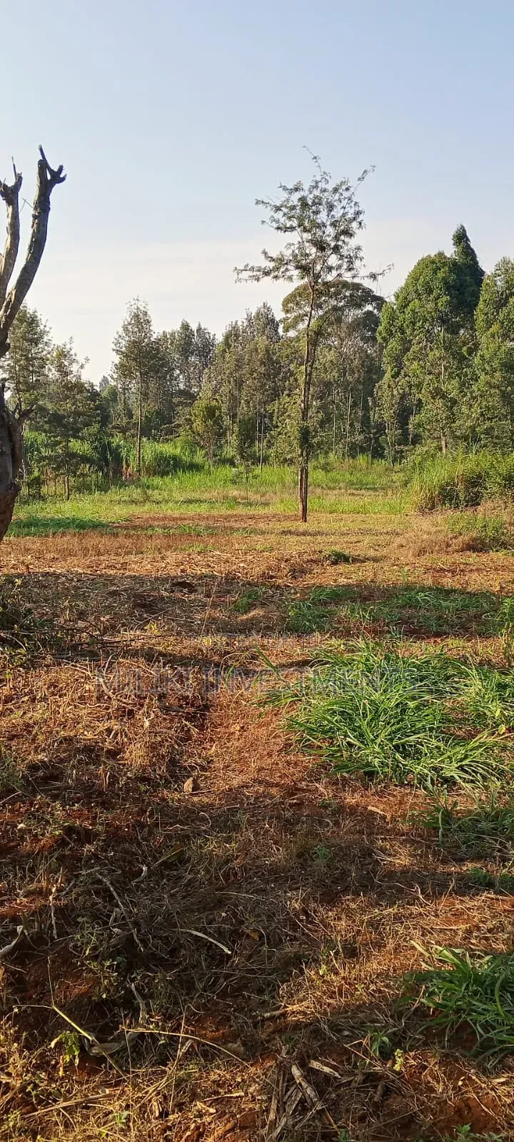 2.5 Acres Land on Sale at Kangaita in Kangai