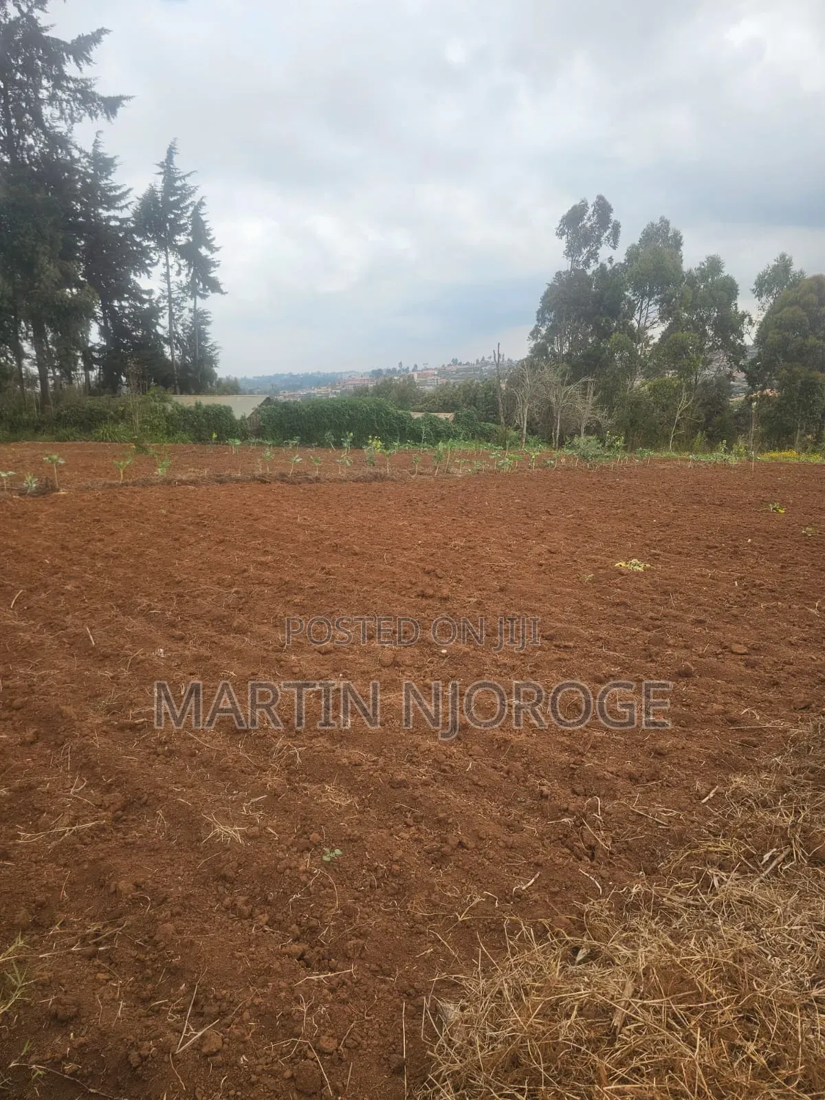 1⁄2 Acre Ngarariga in Bibirioni