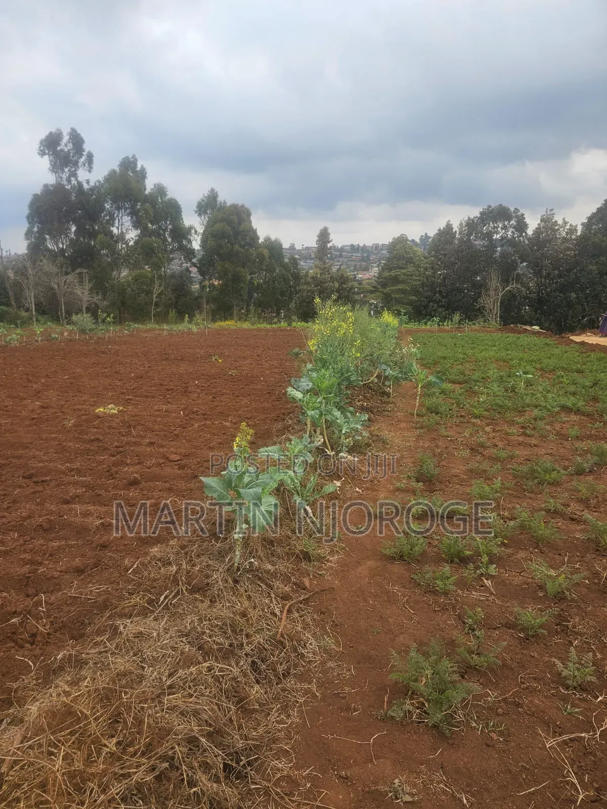 1⁄2 Acre Ngarariga in Bibirioni
