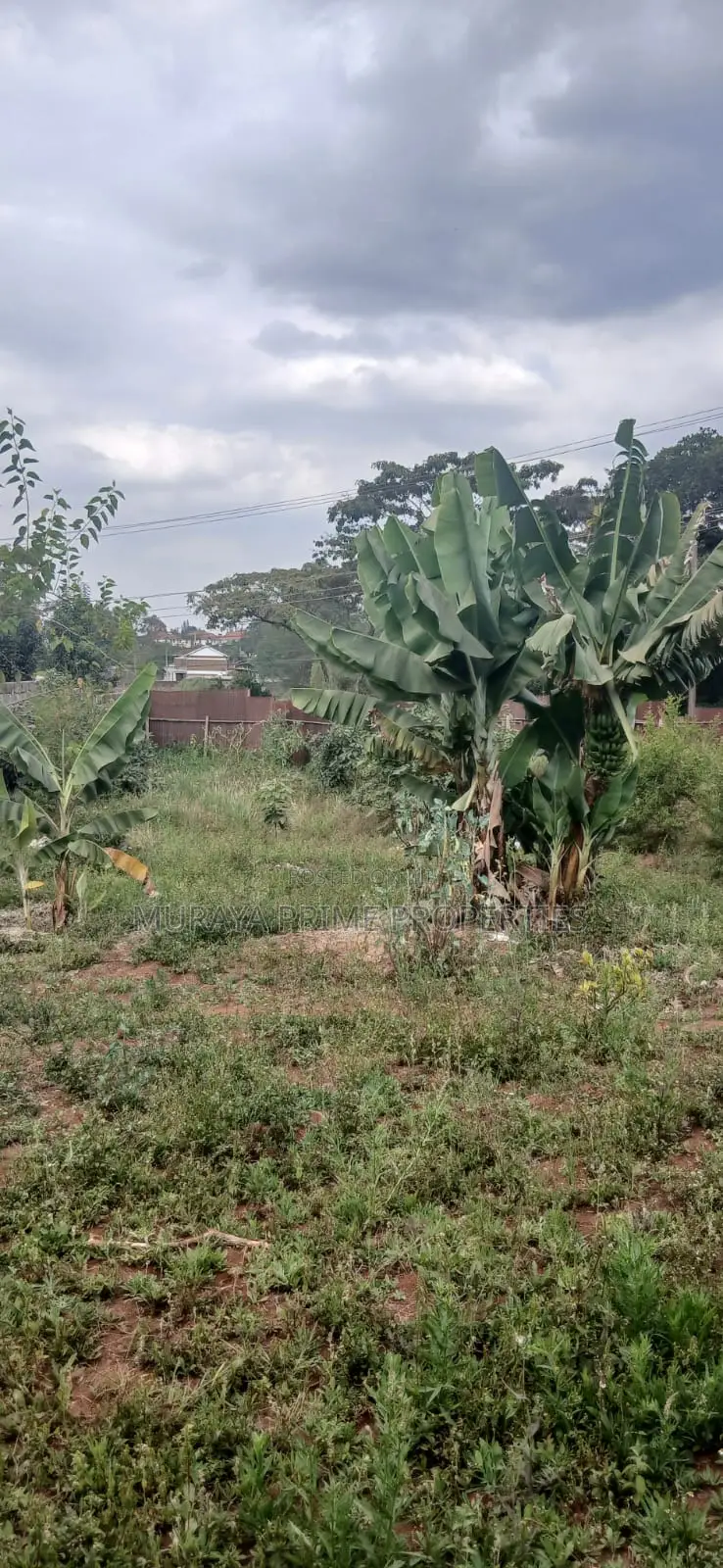 Prime 1/8-Acre Plot for Sale – Kerarapon Drive in Kerarapon