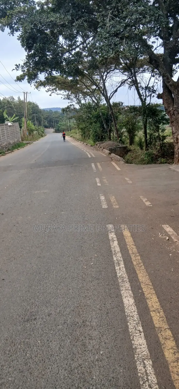 1⁄4 Acre Plot for Sale – Kerarapon Drive in Kerarapon