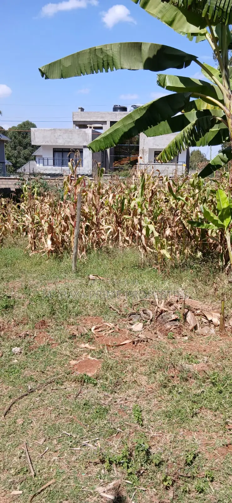 1⁄4 Acre Plot for Sale – Kerarapon Drive in Kerarapon