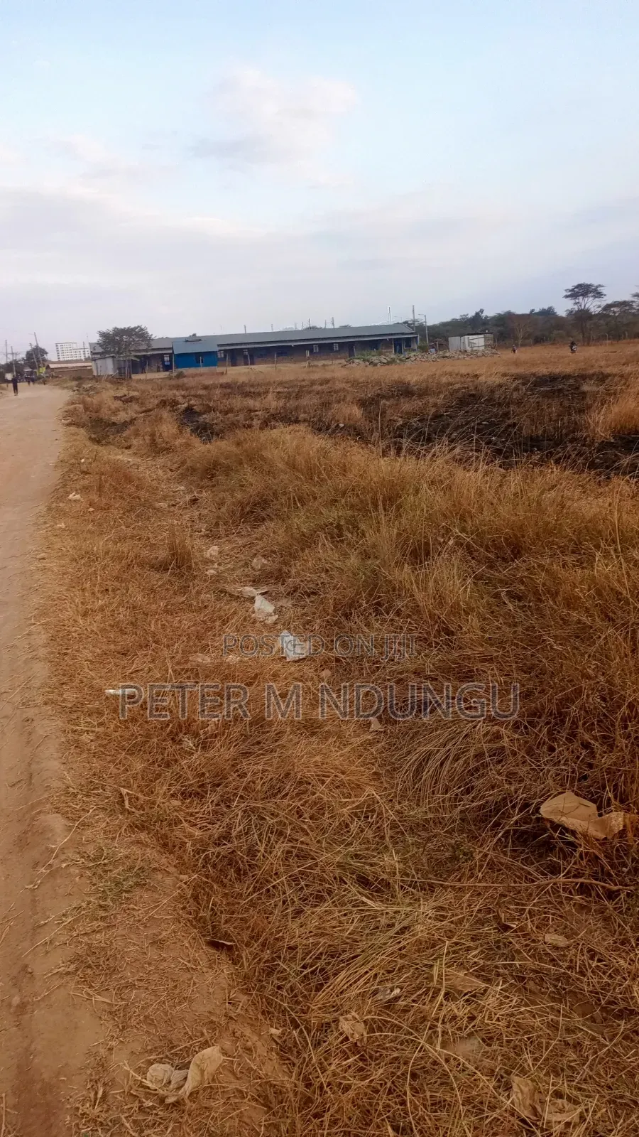 Juja Gachororo- Commercial 50*100 Plots in Gachororo