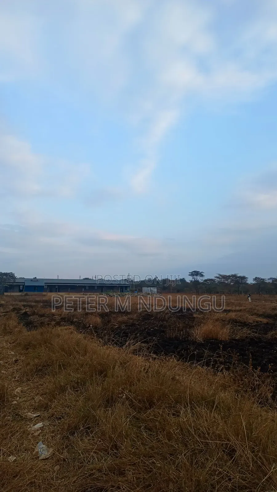Juja Gachororo- Commercial 50*100 Plots in Gachororo
