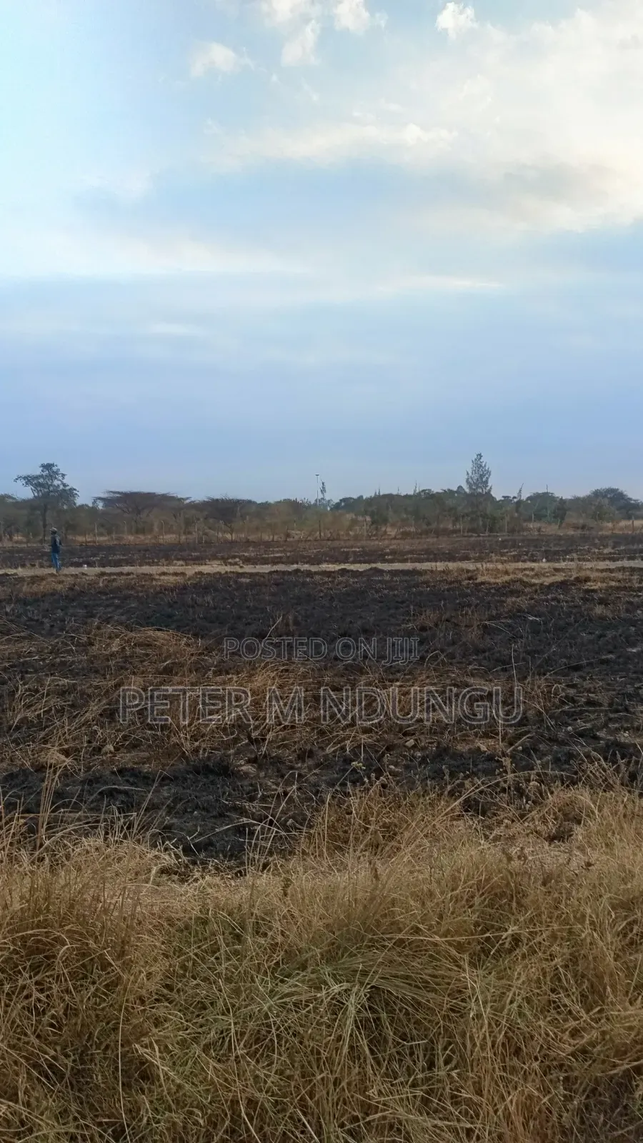 Juja Gachororo- Commercial 50*100 Plots in Gachororo