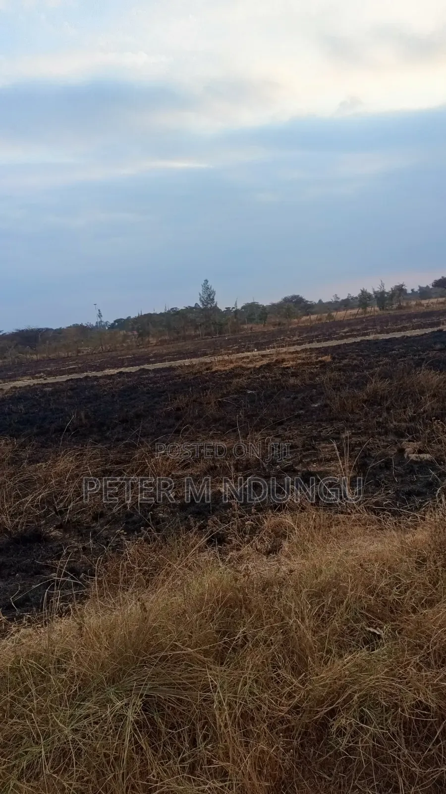 Juja Gachororo- Commercial 50*100 Plots in Gachororo