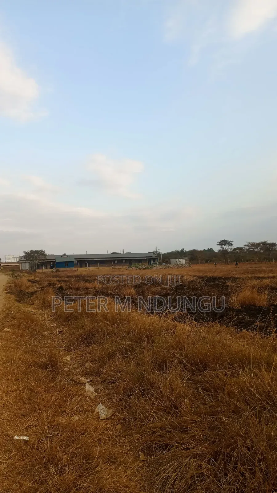 Juja Gachororo- Commercial 50*100 Plots in Gachororo