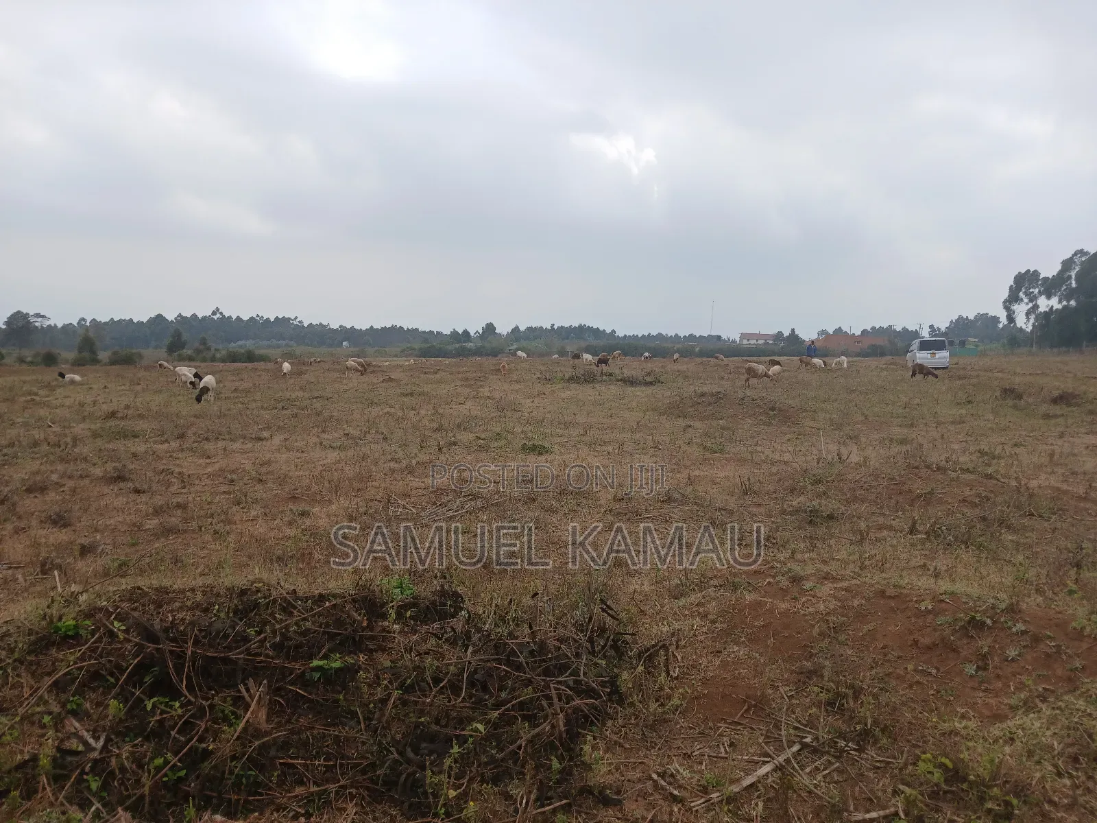 Kikuyu, Thigio 50 by 100 Feet Plots,redsoil, KSHS 1.4m in Thogoto