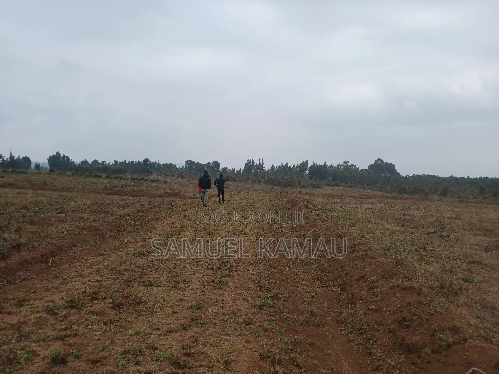 Kikuyu, Thigio 50 by 100 Feet Plots,redsoil, KSHS 1.4m in Thogoto
