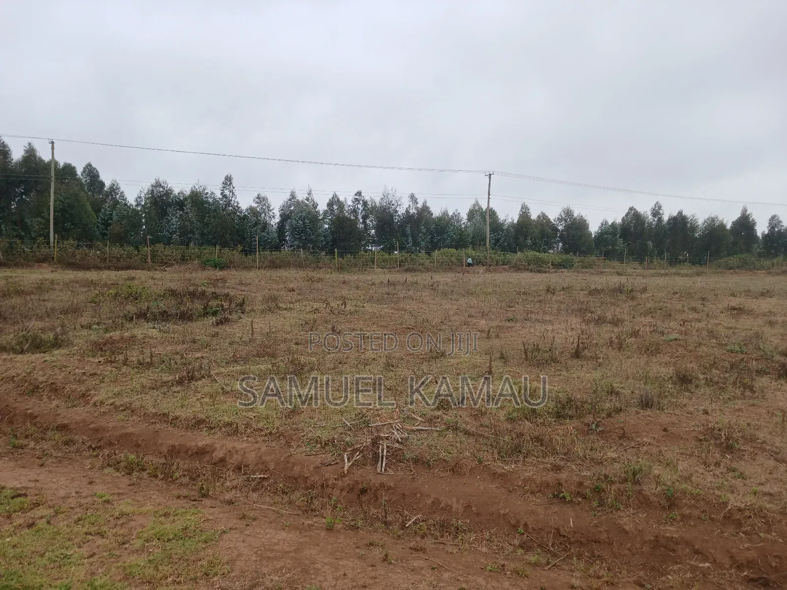 Kikuyu, Thigio 50 by 100 Feet Plots,redsoil, KSHS 1.4m in Thogoto