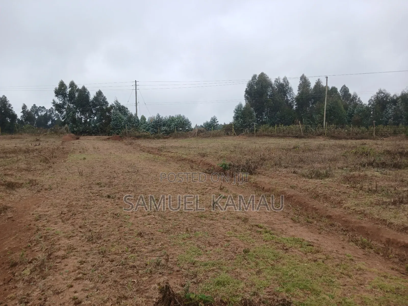 Kikuyu, Thigio 50 by 100 Feet Plots,redsoil, KSHS 1.4m in Thogoto