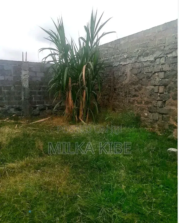 Witeithie Kandara Quarter Acre for Sale in Witethie
