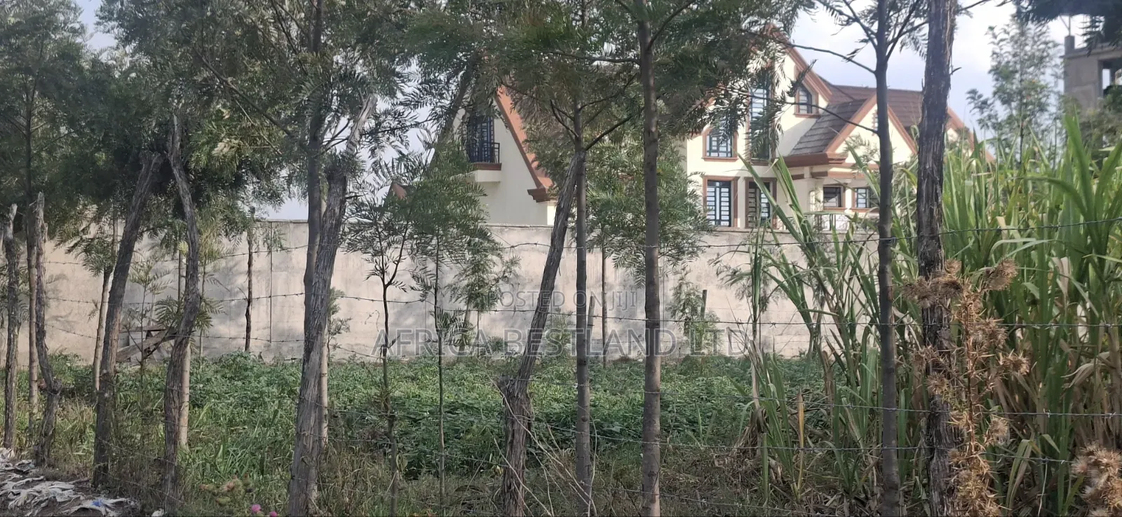 50×100 Plot for Sale – Gilgil, Langa Langa in Murindat