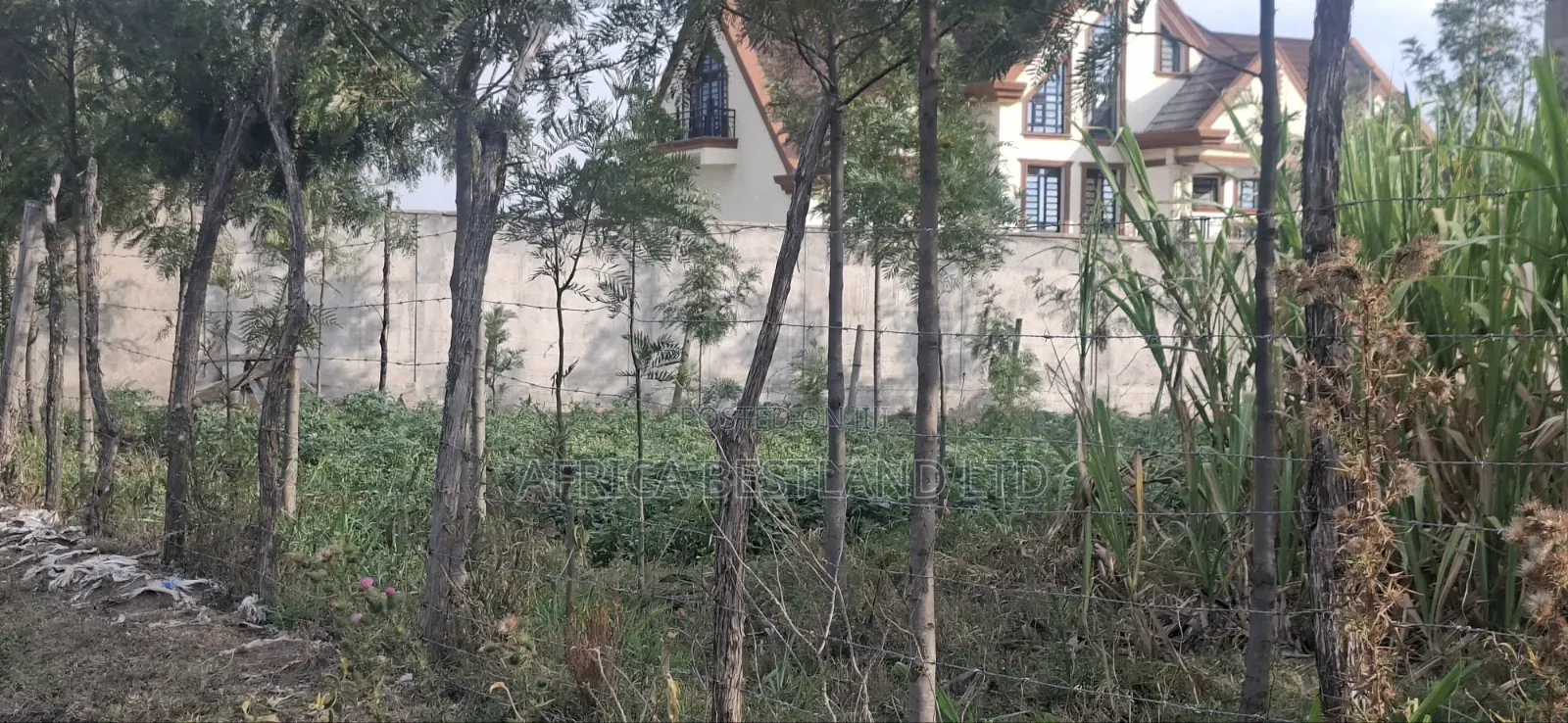50×100 Plot for Sale – Gilgil, Langa Langa in Murindat