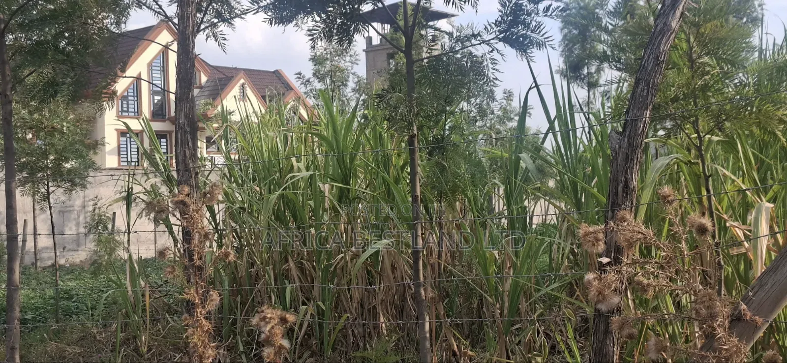 50×100 Plot for Sale – Gilgil, Langa Langa in Murindat
