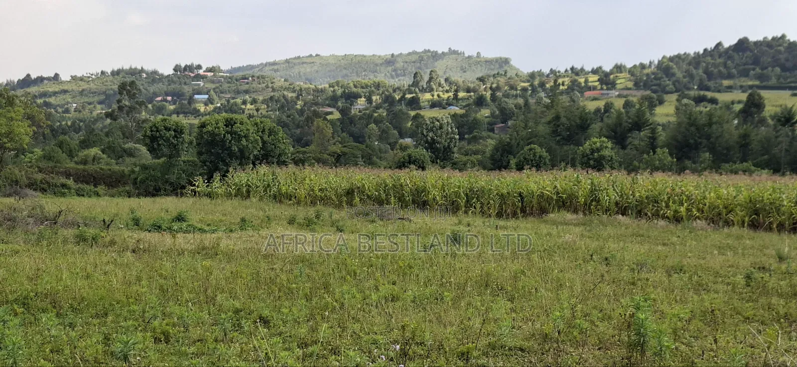50×100 Plot for Sale – Gilgil, Langa Langa in Murindat