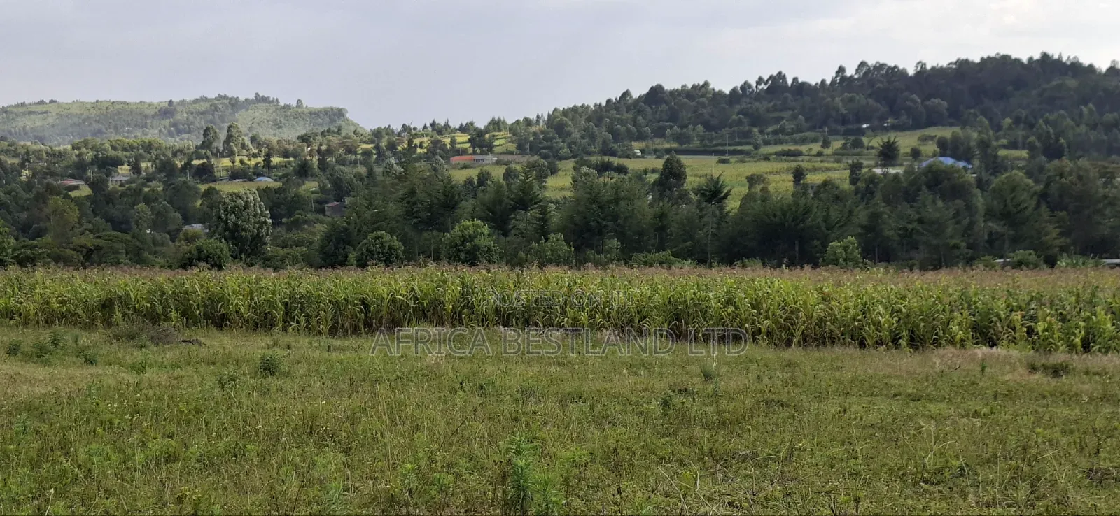 50×100 Plot for Sale – Gilgil, Langa Langa in Murindat